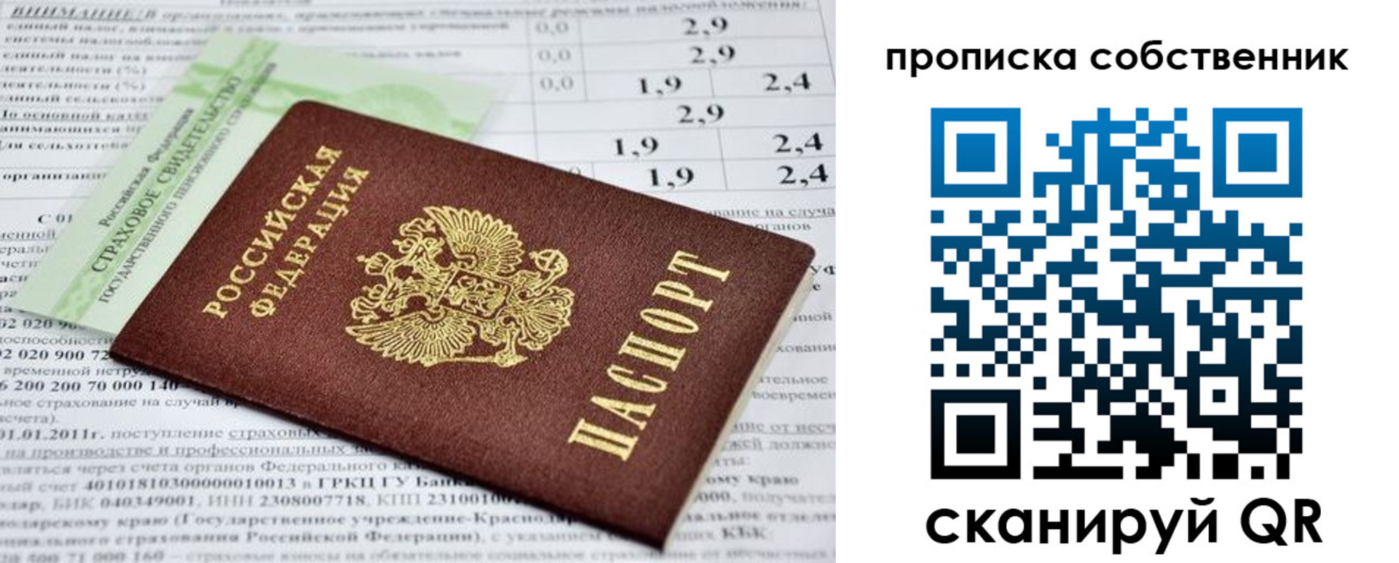 прописка 2025 в Элисте